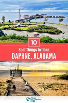 the top 10 things to do in dappne, albama with text overlay