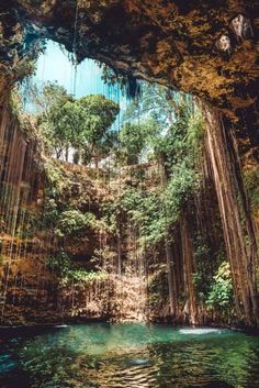 the inside of a cave with water and trees in it, surrounded by greenery