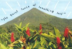 there is a mountain in the background with trees and flowers around it, as well as some words