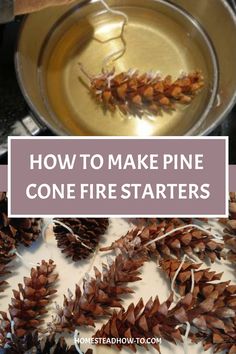 how to make pine cone fire starterrs