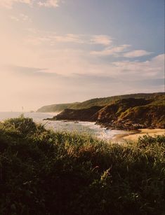 the sun shines brightly over an ocean beach and grassy area with trees on either side