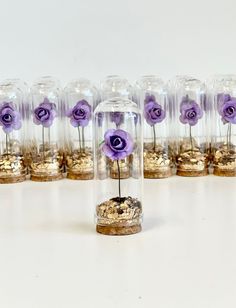 purple flowers are in glass vases with gold bases on a white surface, lined up against each other