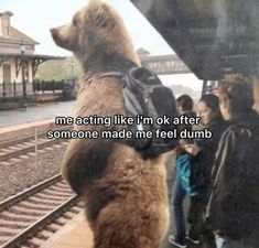 a brown bear standing on it's hind legs in front of a train station