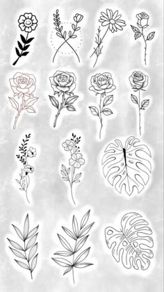 various flowers and leaves drawn on paper