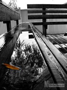 an orange leaf floating on top of a wooden bench