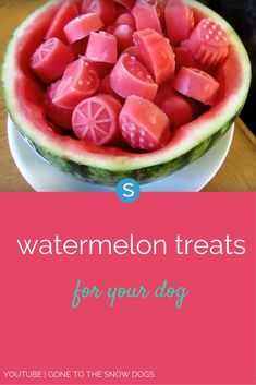 watermelon treats in a bowl with text overlay that reads, 5 watermelon treats for your dog