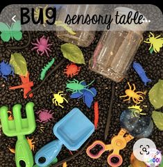 Bug Sensory Bin, Pocket Of Preschool, Bug Activities, Insects Preschool, Bugs Preschool, Insect Activities, Kindergarten Freebies, Insect Crafts, Insects Theme