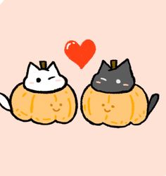 two cats sitting on top of pumpkins with a heart