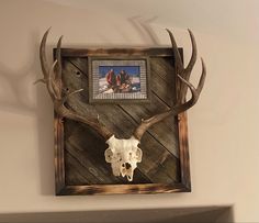 a deer's skull mounted on a wooden wall