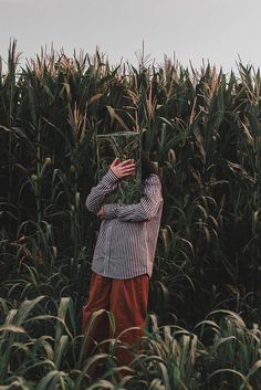 a person standing in the middle of a corn field with their hands on his head