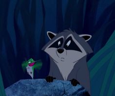 a raccoon is sitting on a rock and looking at a frog in the dark