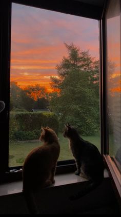 two cats sitting on a window sill watching the sunset