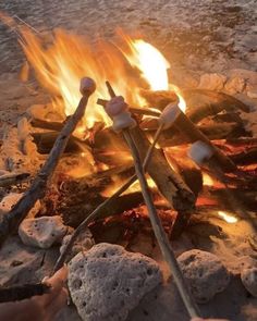 someone is cooking marshmallows over an open campfire on the beach at sunset