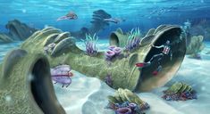 an underwater scene with fish, corals and other marine life on the bottom water