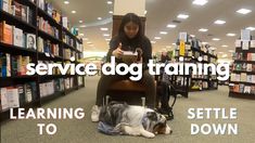 a woman sitting in a chair next to a dog on top of a book shelf