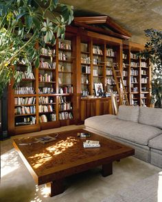 a living room filled with furniture and lots of bookshelves next to a plant