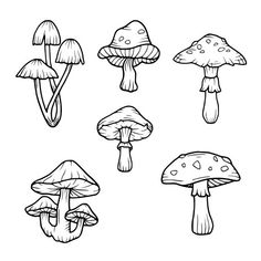 different types of mushrooms are shown in black and white, as well as the outlines for