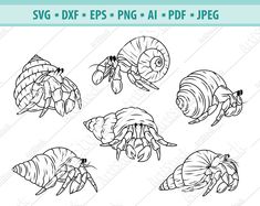 an image of some sea animals in black and white with the text svg dxf