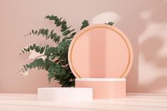 a plant in a vase next to a pink plate on a white countertop with gold trim