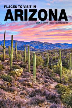 the best hikes in arizona with text overlay that reads, best hikes in arizona