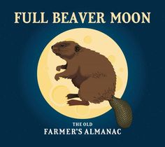 an animal that is standing on its hind legs with the words full beaver moon above it