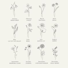 the different types of wildflowers and their names are shown in this hand drawn illustration