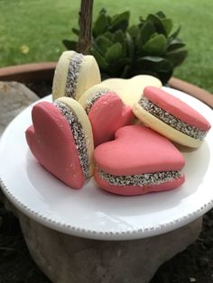 pink and white heart shaped cookies on a plate next to a potted green plant