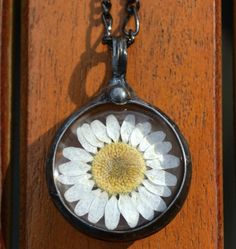 Bayou Glass Arts Daisy Pendant April Birth Month Flower Dry Pressed Flower Pendant: 1 3/4" x 1" (44mm x 25 mm) Truly Hand Made in USA by Louisiana Artisan FREE 1st Class Domestic Shipping This listing qualifies for next business day shipping Expedited shipping available Choose 24", 28" or 36" fully adjustable Figaro Chain. Gift wrapping and messaging offered Your choice of Shiny Black Finish (shown) or Shiny Silver Finish Style #2559 Real Pressed Flower Jewelry Sweet, simple, natural. Who doesn' Pressed Daisies, Wildflower Jewelry, April Birth Month Flower, Dry Pressed Flowers, Kaleidoscope Jewelry, April Birth Month, Mustard Seed Necklace, Bubble Earrings, Pressed Flower Jewelry