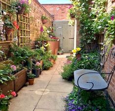 an alley way with lots of plants and flowers