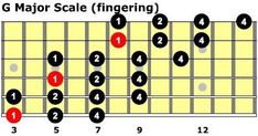 the guitar frets are arranged in order to show how many chords can be used