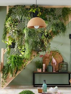 a living room filled with lots of green plants and greenery hanging from the wall