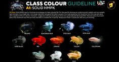 the class color guide for aquarium fish