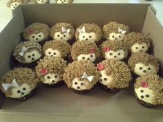 a box filled with cupcakes decorated like hedgehogs