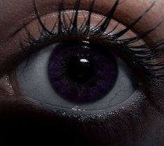 an eye with long lashes and purple eyeshade