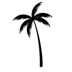 a black and white silhouette of a palm tree