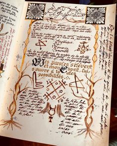 Magic Book Aesthetic, Book Of Shadows Pages, Types Of Magic, Grimoire Book, Dark Books, D Book, Commonplace Book, Wiccan Spell Book