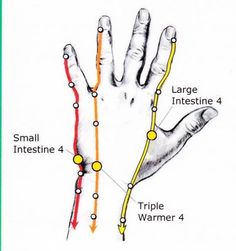 Meridian Acupuncture, Acupuncture Points Chart, Ear Reflexology, Pressure Point Therapy, Organ System