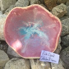 a pink and blue bowl sitting on top of rocks next to a sign that says pink spot celebration