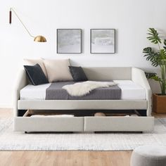 a day bed with storage underneath it in a living room area next to a potted plant