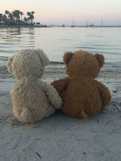 two teddy bears sitting next to each other on the beach