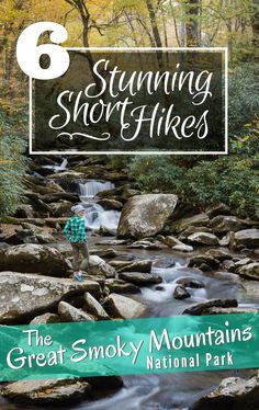 the great smoky mountains national park with text overlaying 6 stunning short hikes