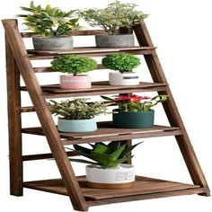 a wooden ladder shelf filled with potted plants