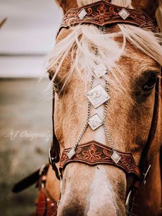 a close up of a horse wearing a bridle