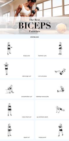 the best biceps exercises for every body type - infographical poster with instructions