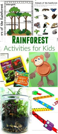 rainforest activities for kids including plants and animals