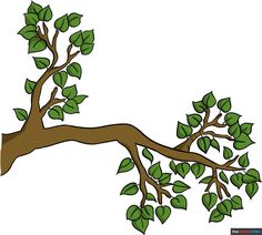 a tree branch with green leaves on it and the branches are bent down to form a curved branch