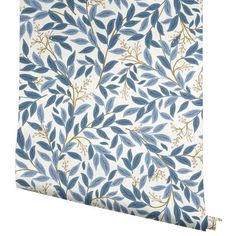 a blue and white wallpaper with leaves on the outside, in front of a white background