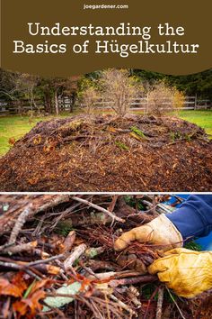 a pile of branches with the words, understanding the basics of hingelultur