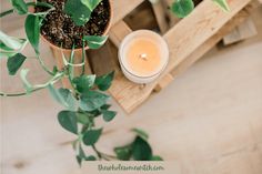 an overhead view of a candle and potted plants