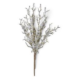 a white flower on a stick with some lights in the middle and branches around it